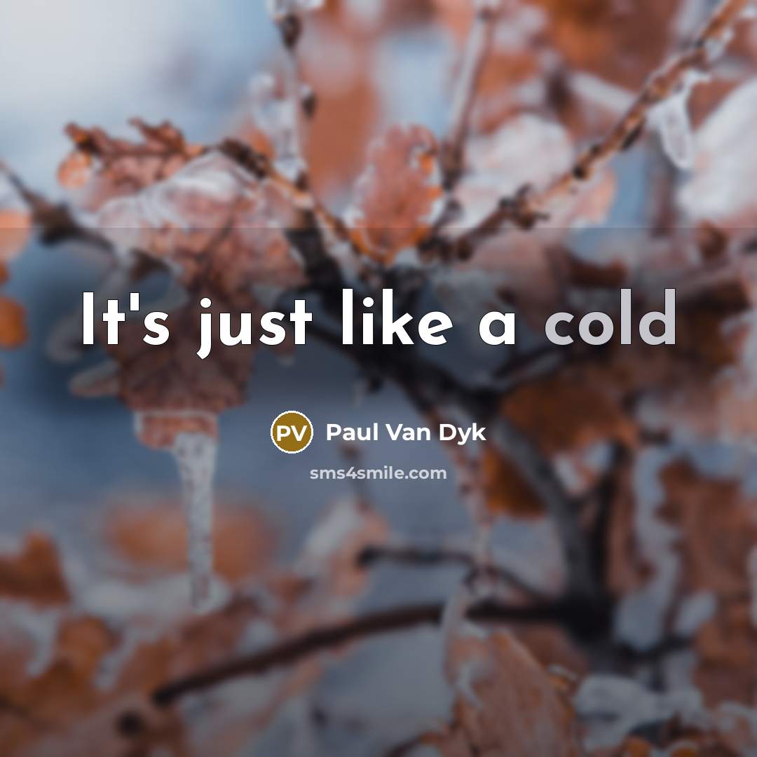 “It's just like a cold…” quote by Paul Van Dyk