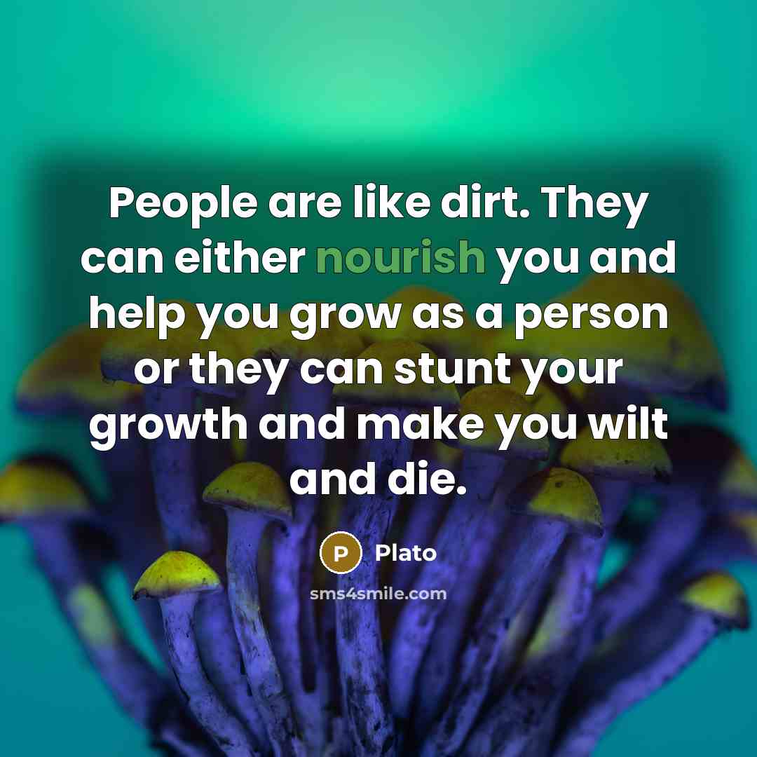 “People are like dirt. They can either nourish you and…” quote by Plato