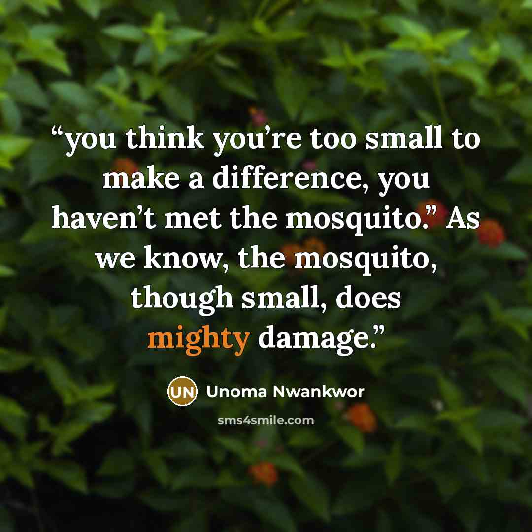 “you think you’re too small to make a difference, you haven’t met the mosquito.” As we know, the mosquito, though small, does mighty damage.” quote by Unoma Nwankwor