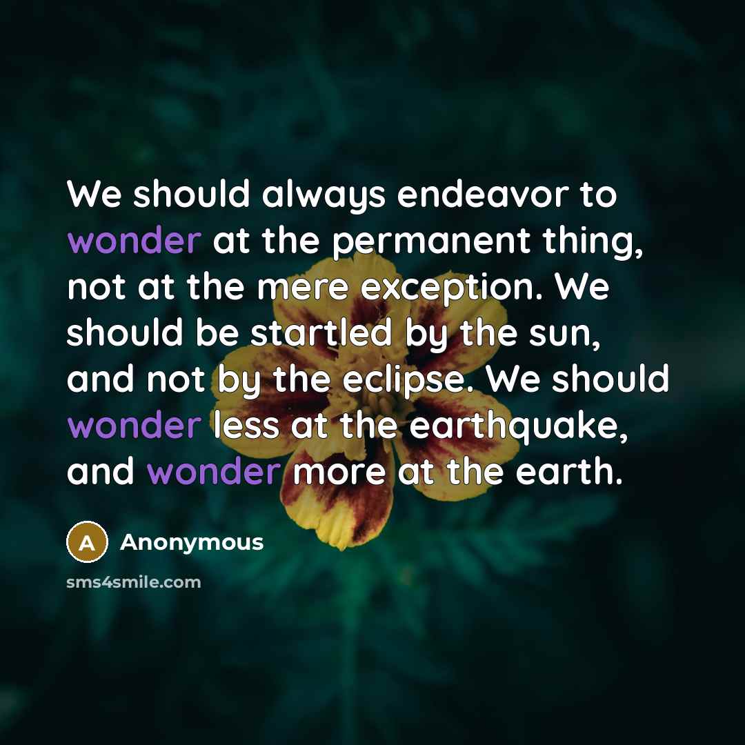 “We should always endeavor to wonder at the permanent thing,…” quote by Anonymous