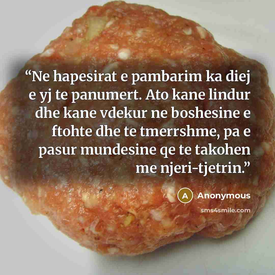 “Ne hapesirat e pambarim ka diej e yj te panumert. Ato kane lindur dhe kane vdekur ne boshesine e ftohte dhe te tmerrshme, pa e pasur mundesine qe te takohen me njeri-tjetrin.” quote by Anonymous