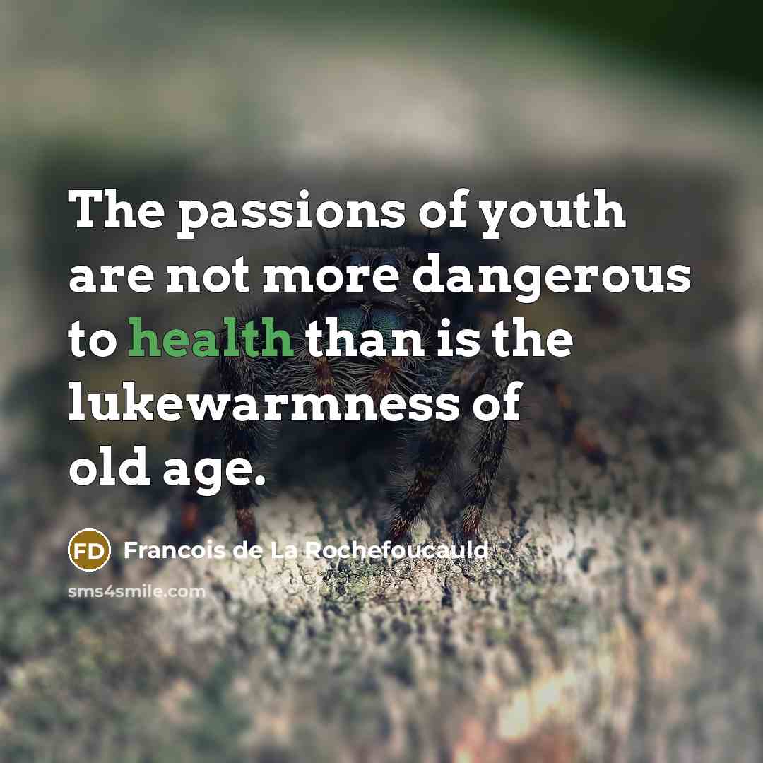 “The passions of youth are not more dangerous to health…” quote by Francois de La Rochefoucauld