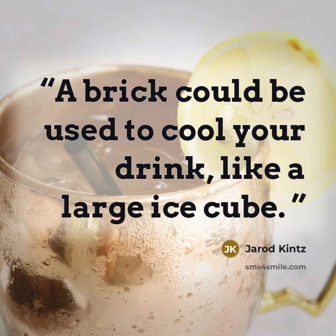 “A brick could be used to cool your drink, like a large ice cube.” quote by Jarod Kintz