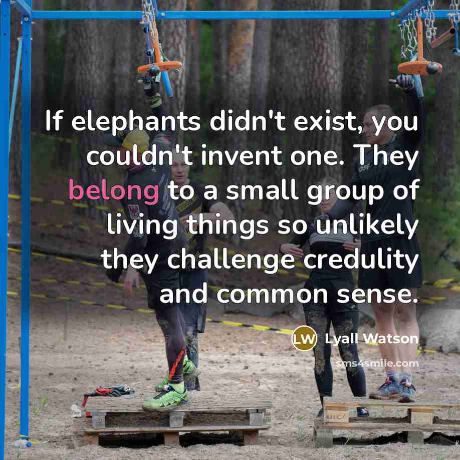 “If elephants didn't exist, you couldn't invent one. They belong…” quote by Lyall Watson