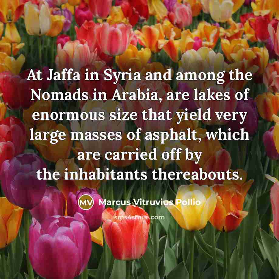 “At Jaffa in Syria and among the Nomads in Arabia,…” quote by Marcus Vitruvius Pollio
