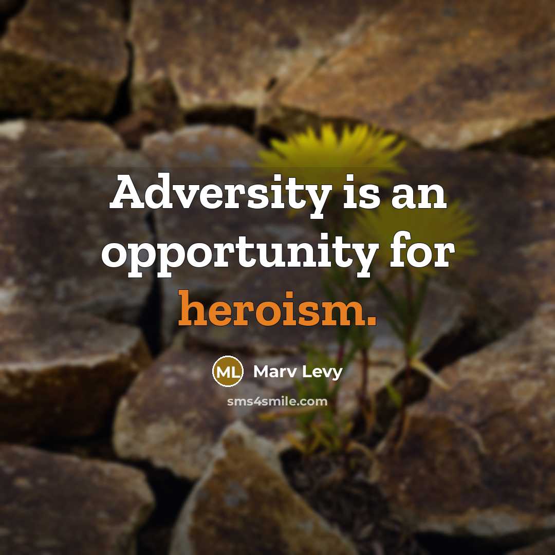 “Adversity is an opportunity for heroism.…” quote by Marv Levy