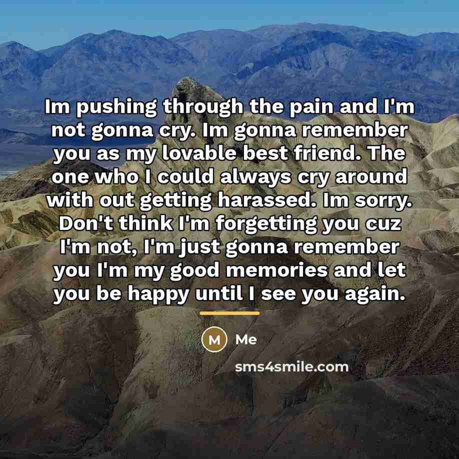 “Im pushing through the pain and I'm not gonna cry.…” quote by Me