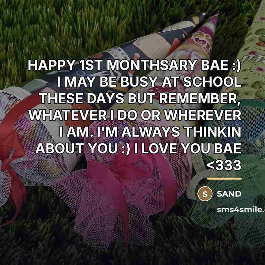 “HAPPY 1ST MONTHSARY BAE :) I MAY BE BUSY AT…” quote by SAND