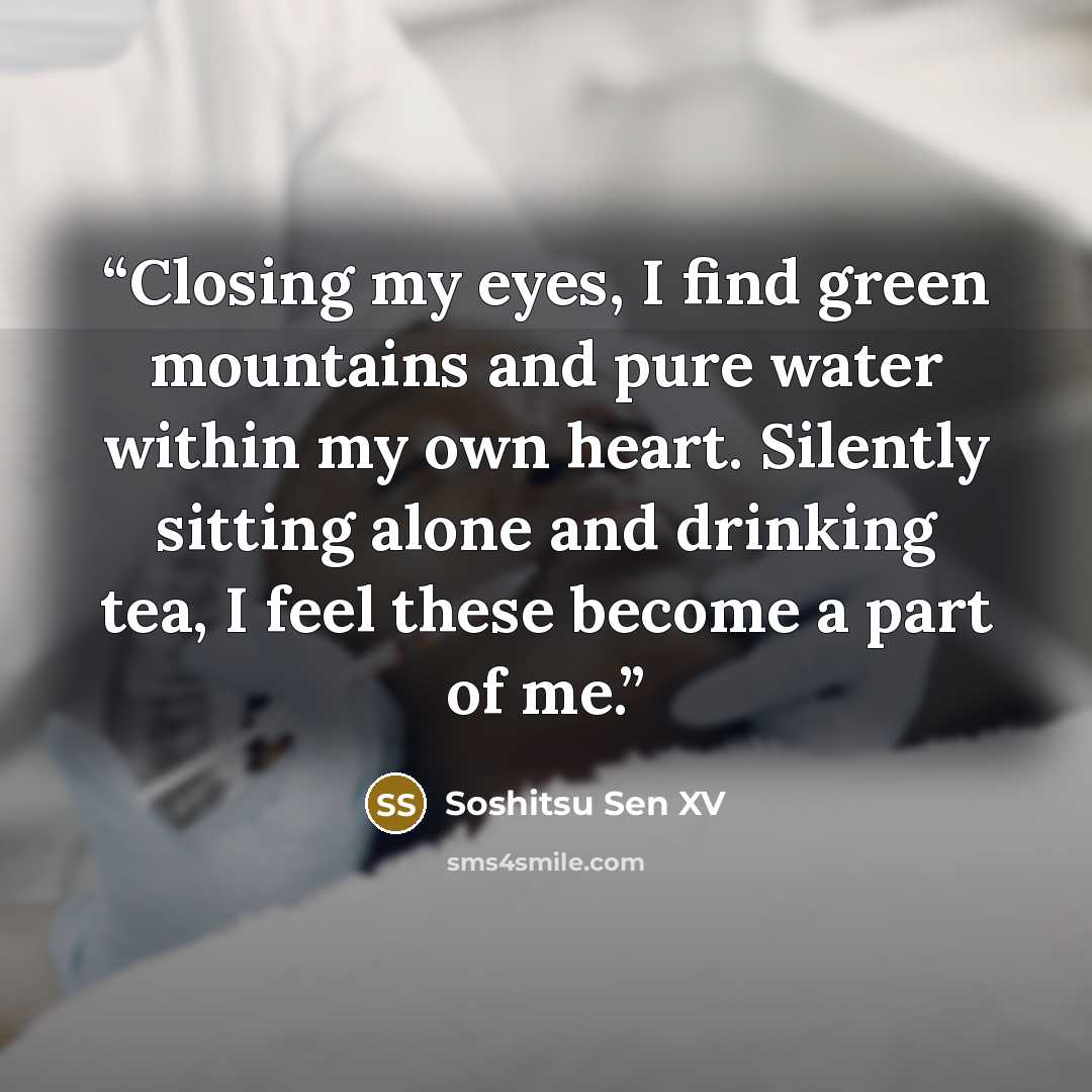“Closing my eyes, I find green mountains and pure water within my own heart. Silently sitting alone and drinking tea, I feel these become a part of me.” quote by Soshitsu Sen XV