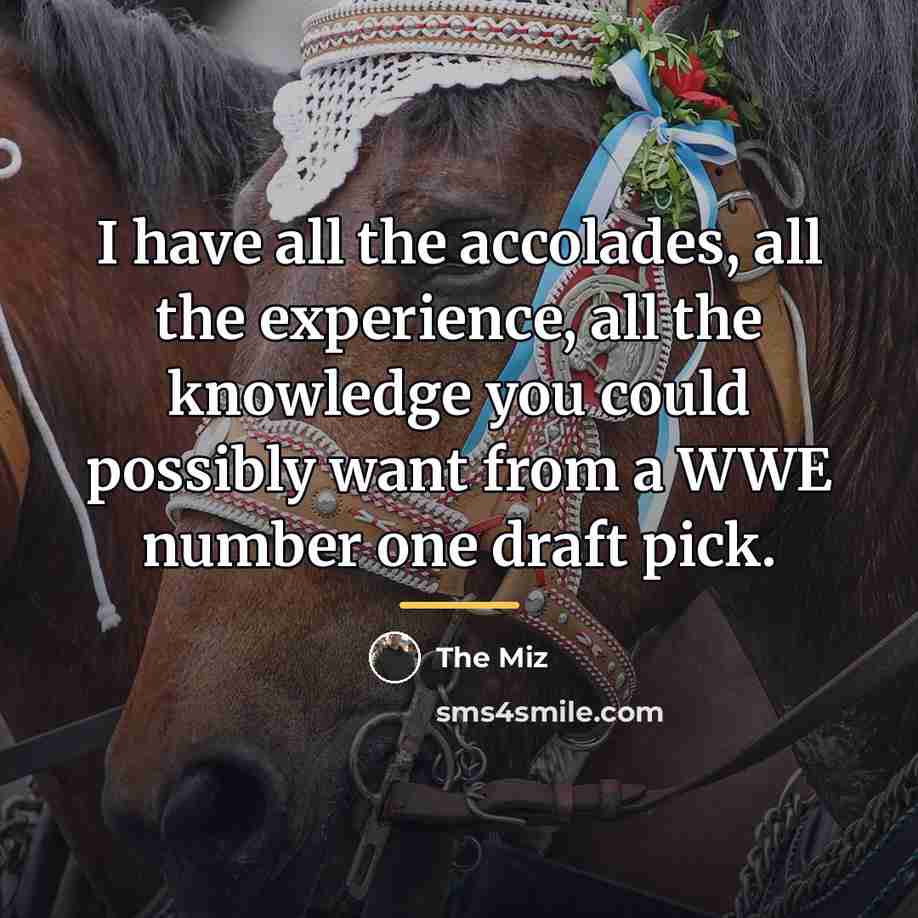 “I have all the accolades, all the experience, all the…” quote by The Miz