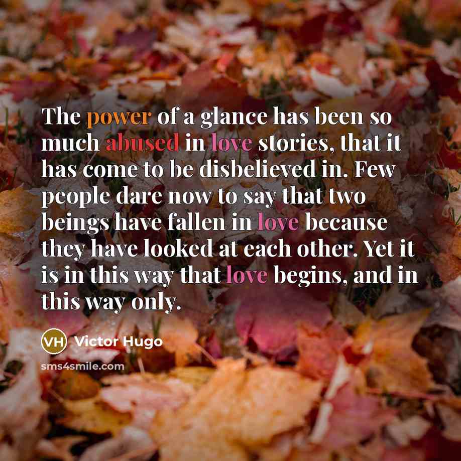 “The power of a glance has been so much abused…” quote by Victor Hugo