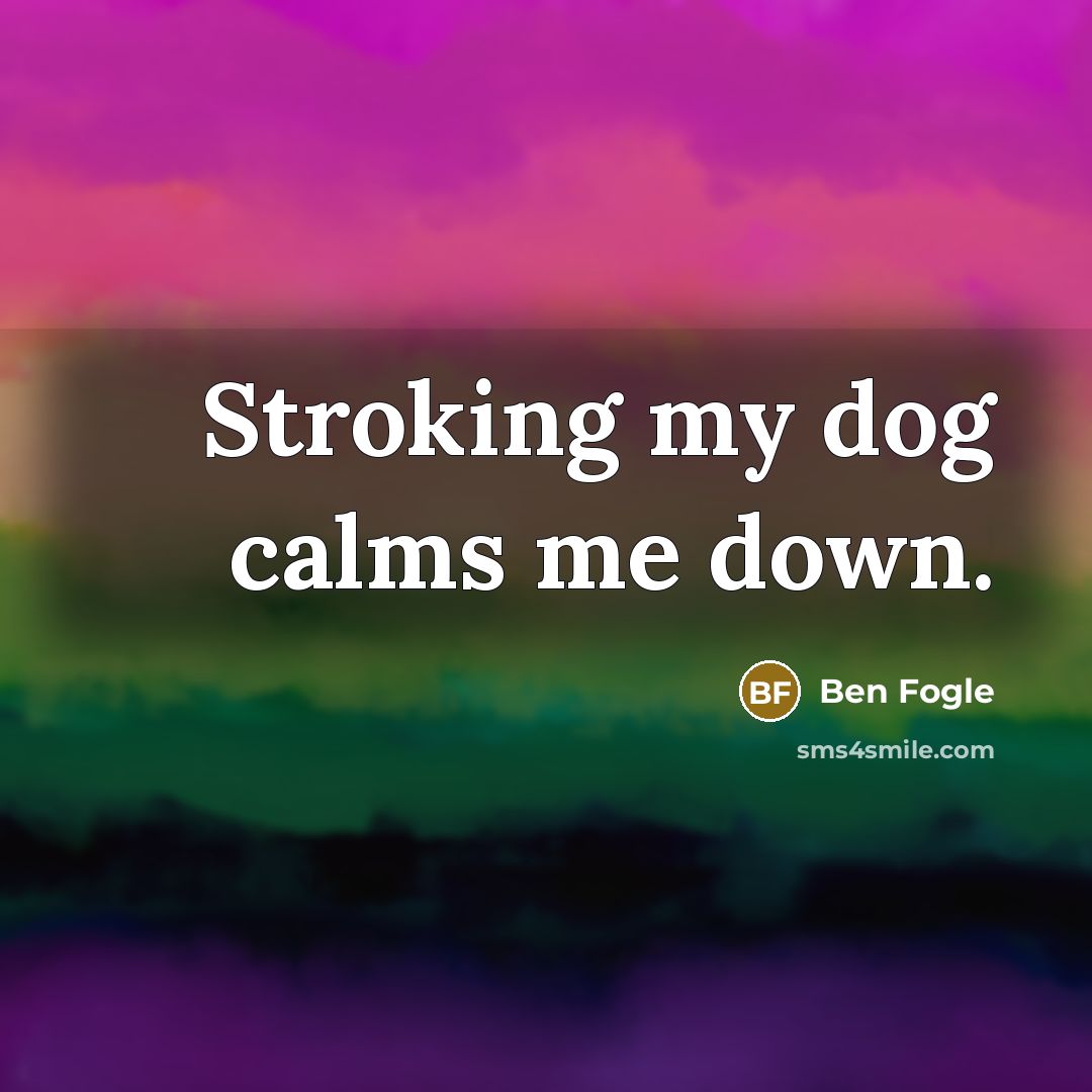 “Stroking my dog calms me down.…” quote by Ben Fogle