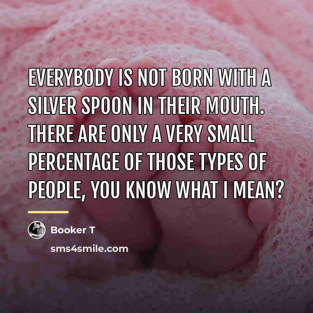 “Everybody is not born with a silver spoon in their…” quote by Booker T