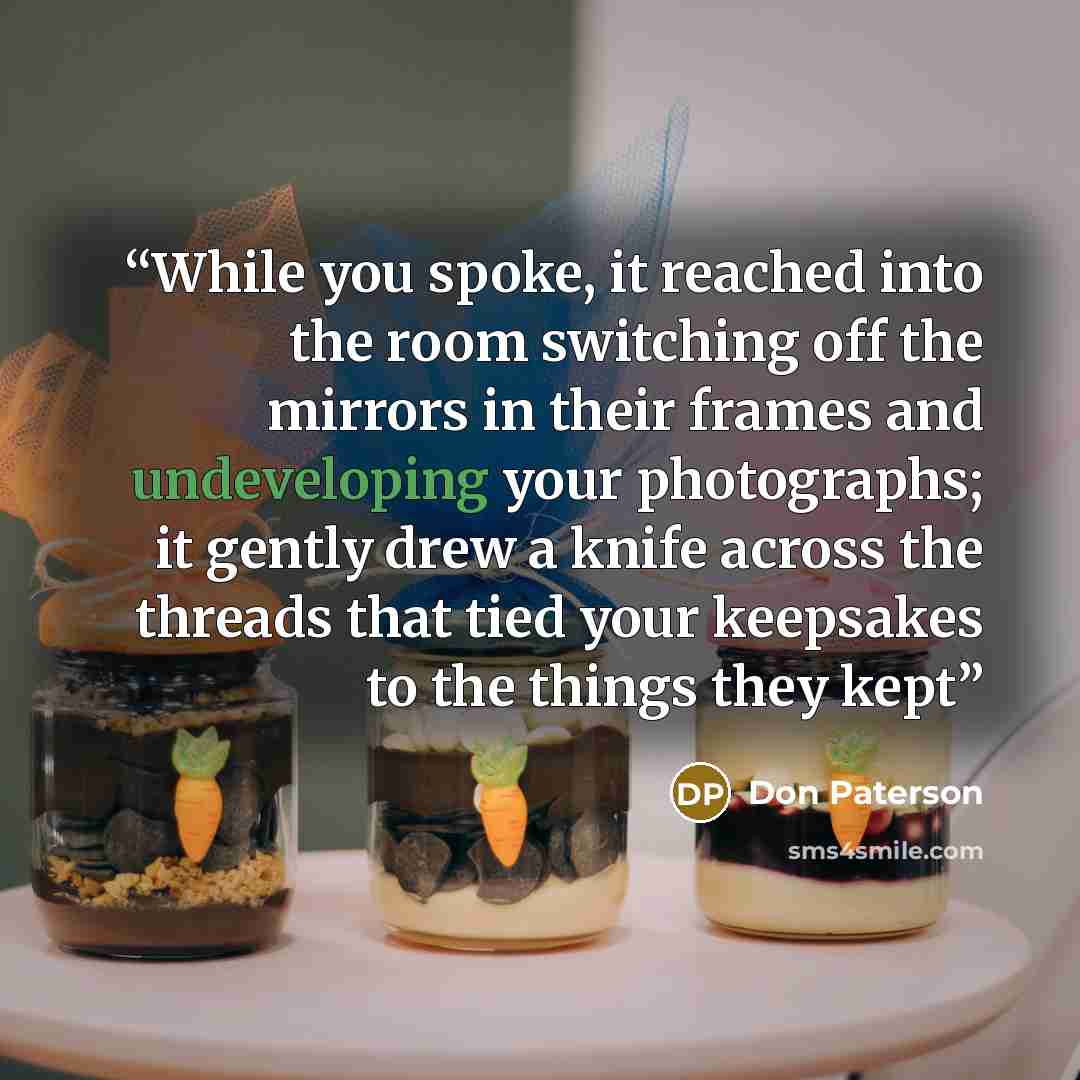 “While you spoke, it reached into the room switching off the mirrors in their frames and undeveloping your photographs; it gently drew a knife across the threads that tied your keepsakes to the things they kept” quote by Don Paterson
