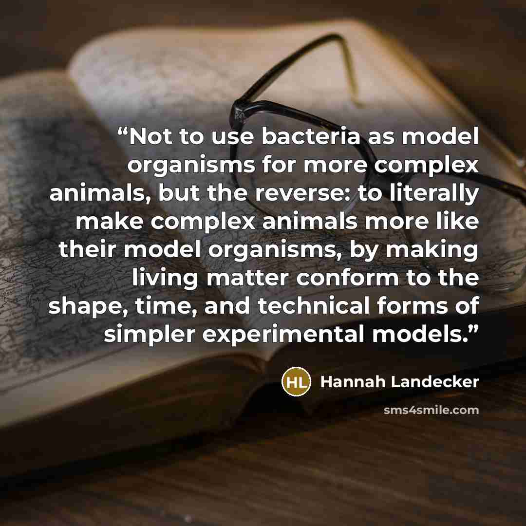 “Not to use bacteria as model organisms for more complex animals, but the reverse: to literally make complex animals more like their model organisms, by making living matter conform to the shape, time, and technical forms of simpler experimental models.” quote by Hannah Landecker