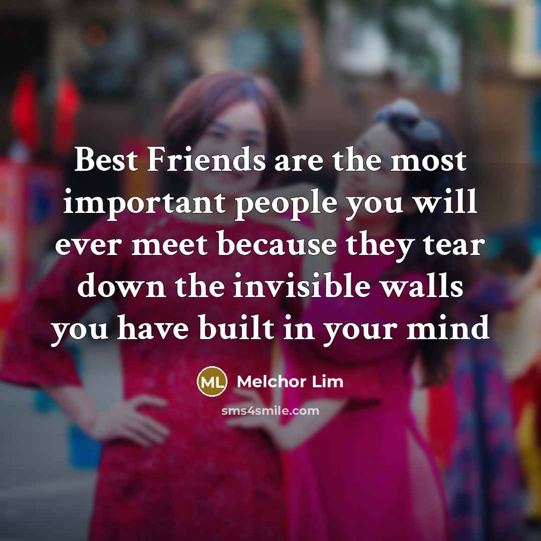 “Best Friends are the most important people you will ever…” quote by Melchor Lim