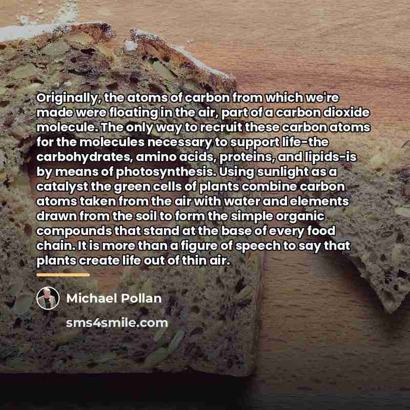 “Originally, the atoms of carbon from which we're made were…” quote by Michael Pollan