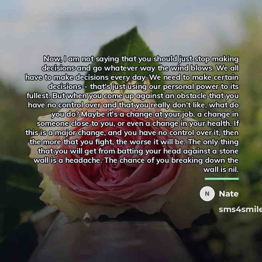 “Now, I am not saying that you should just stop…” quote by Nate