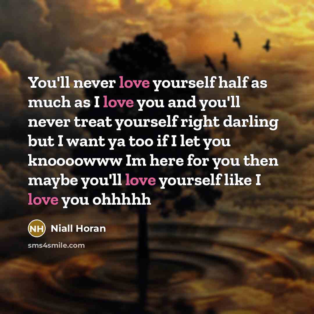 “You'll never love yourself half as much as I love…” quote by Niall Horan