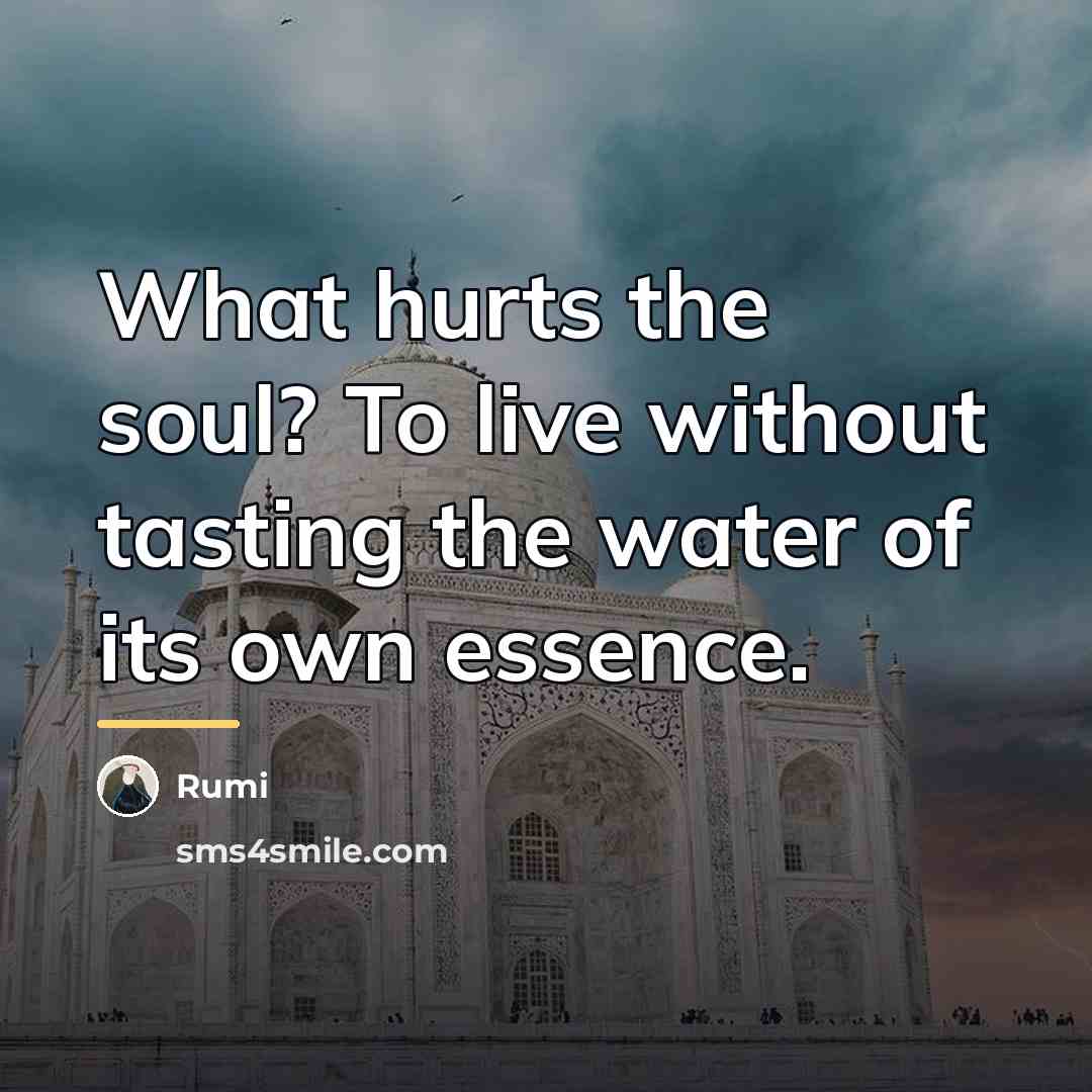 “What hurts the soul? To live without tasting the water…” quote by Rumi