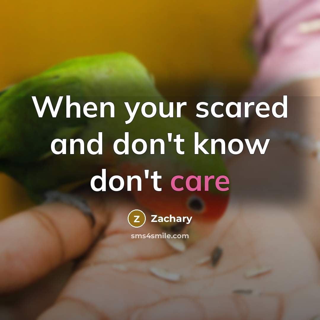 “When your scared and don't know don't care…” quote by Zachary