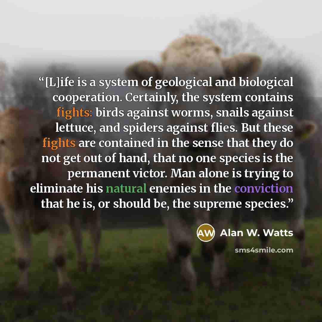 “[L]ife is a system of geological and biological cooperation. Certainly, the system contains fights: birds against worms, snails against lettuce, and spiders against flies. But these fights are contained in the sense that they do not get out of hand, that no one species is the permanent victor. Man…” quote by Alan W. Watts