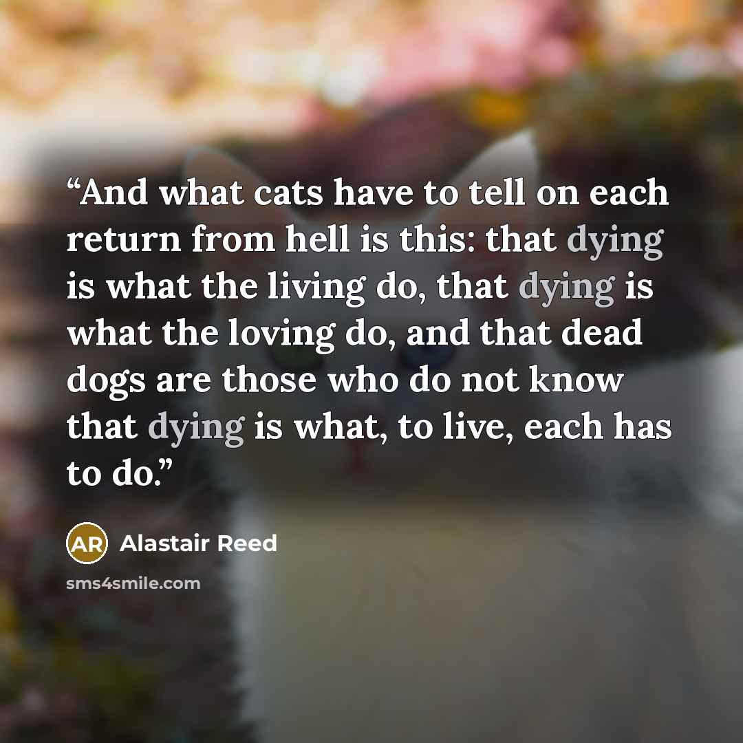 “And what cats have to tell on each return from hell is this: that dying is what the living do, that dying is what the loving do, and that dead dogs are those who do not know that dying is what, to live, each has to do.” quote by Alastair Reed