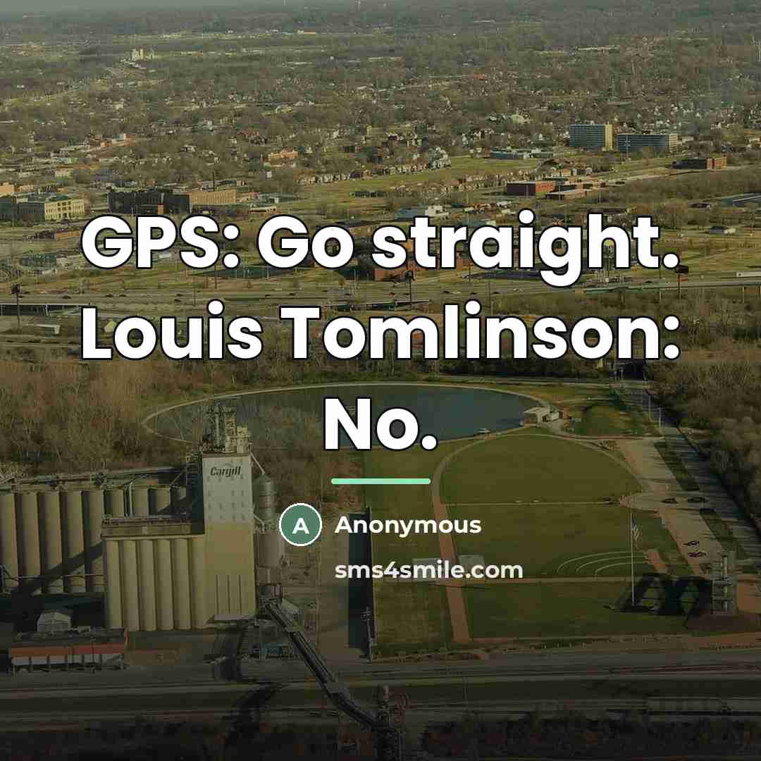 “GPS: Go straight. Louis Tomlinson: No.…” quote by Anonymous