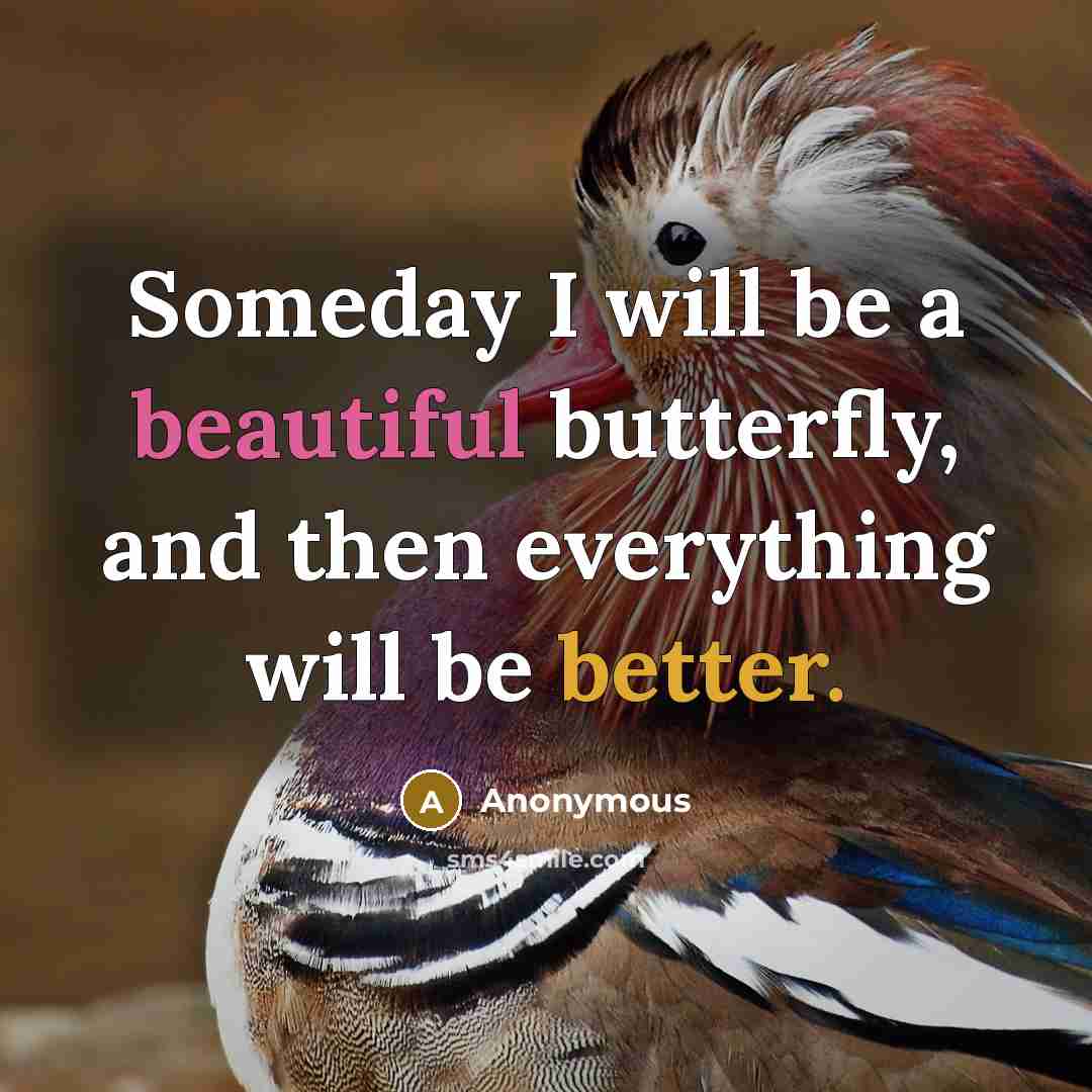 “Someday I will be a beautiful butterfly, and then everything will be better.” quote by Anonymous