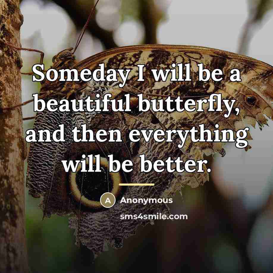 “Someday I will be a beautiful butterfly, and then everything…” quote by Anonymous