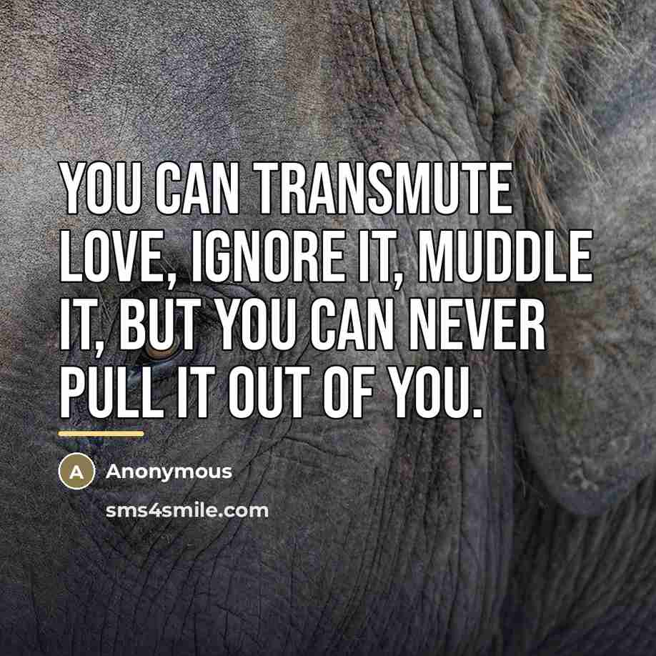 “You can transmute love, ignore it, muddle it, but you…” quote by Anonymous