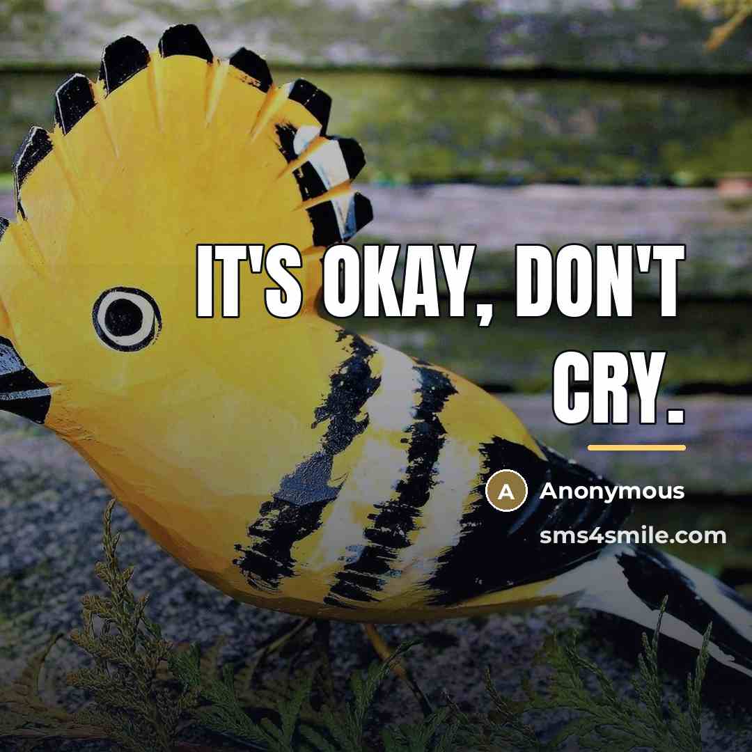 “It's okay, don't cry.…” quote by Anonymous