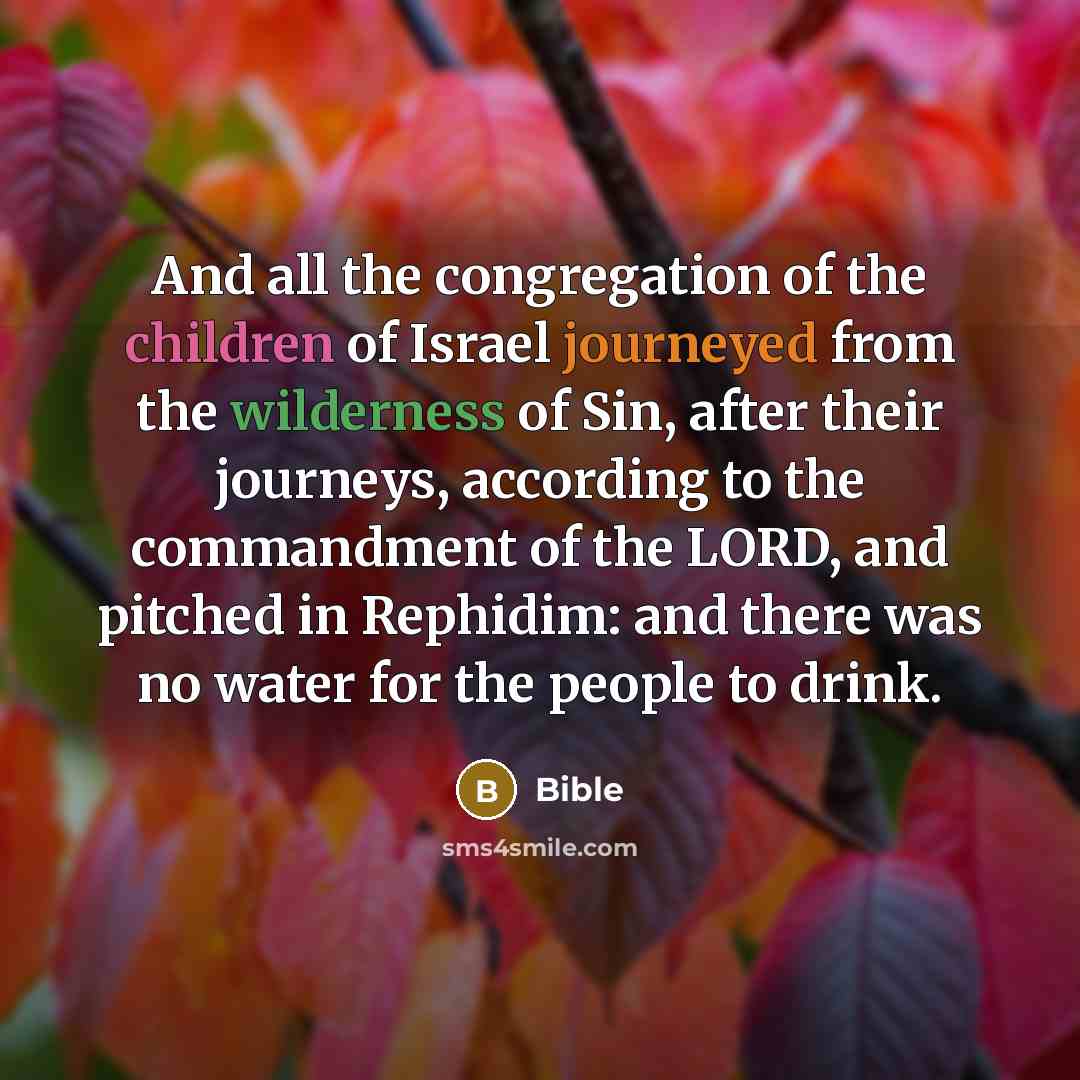 “And all the congregation of the children of Israel journeyed…” quote by Bible