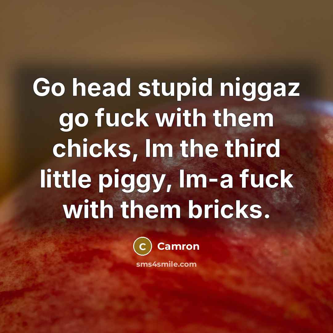 “Go head stupid niggaz go fuck with them chicks, Im…” quote by Camron
