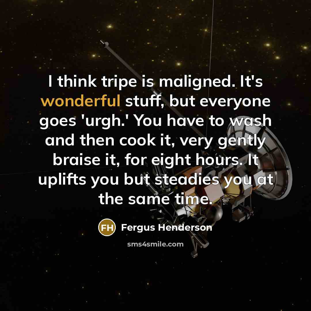 “I think tripe is maligned. It's wonderful stuff, but everyone…” quote by Fergus Henderson