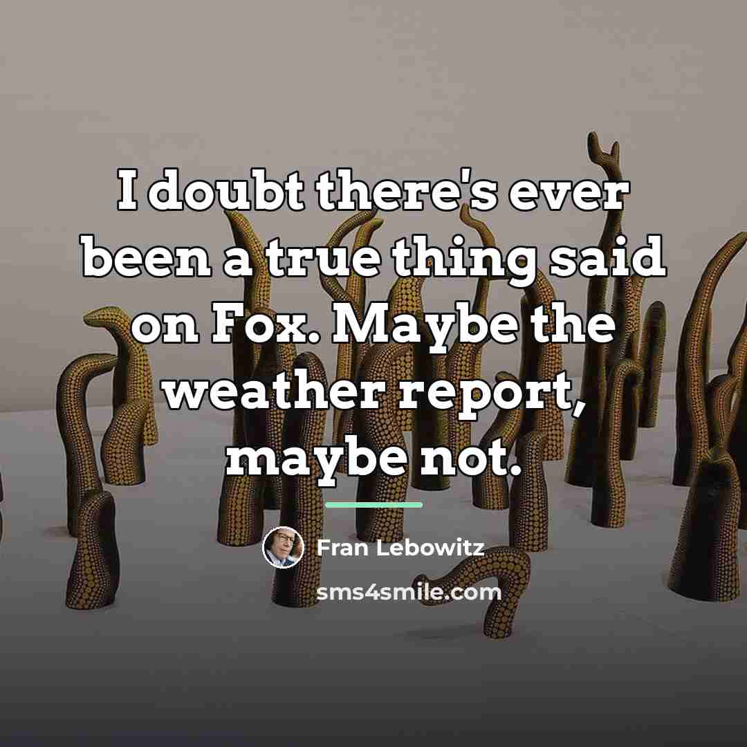 “I doubt there's ever been a true thing said on…” quote by Fran Lebowitz