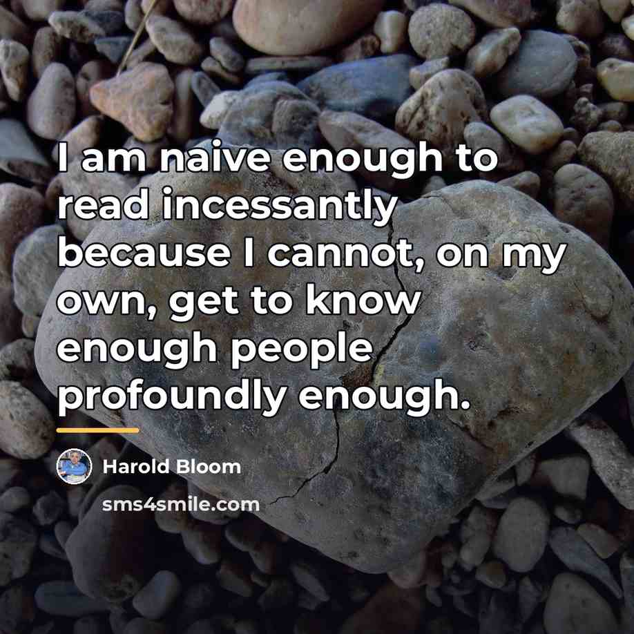 “I am naive enough to read incessantly because I cannot,…” quote by Harold Bloom