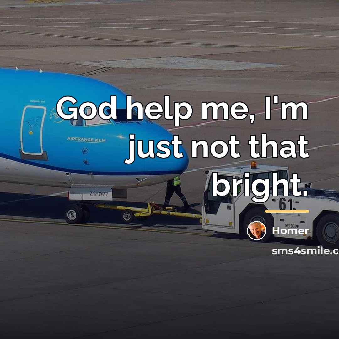 “God help me, I'm just not that bright.…” quote by Homer