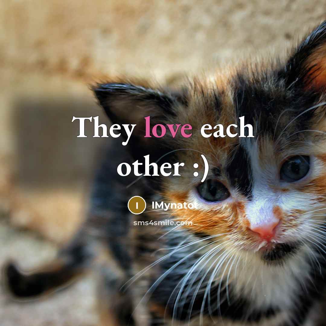 “They love each other :)…” quote by IMynatot