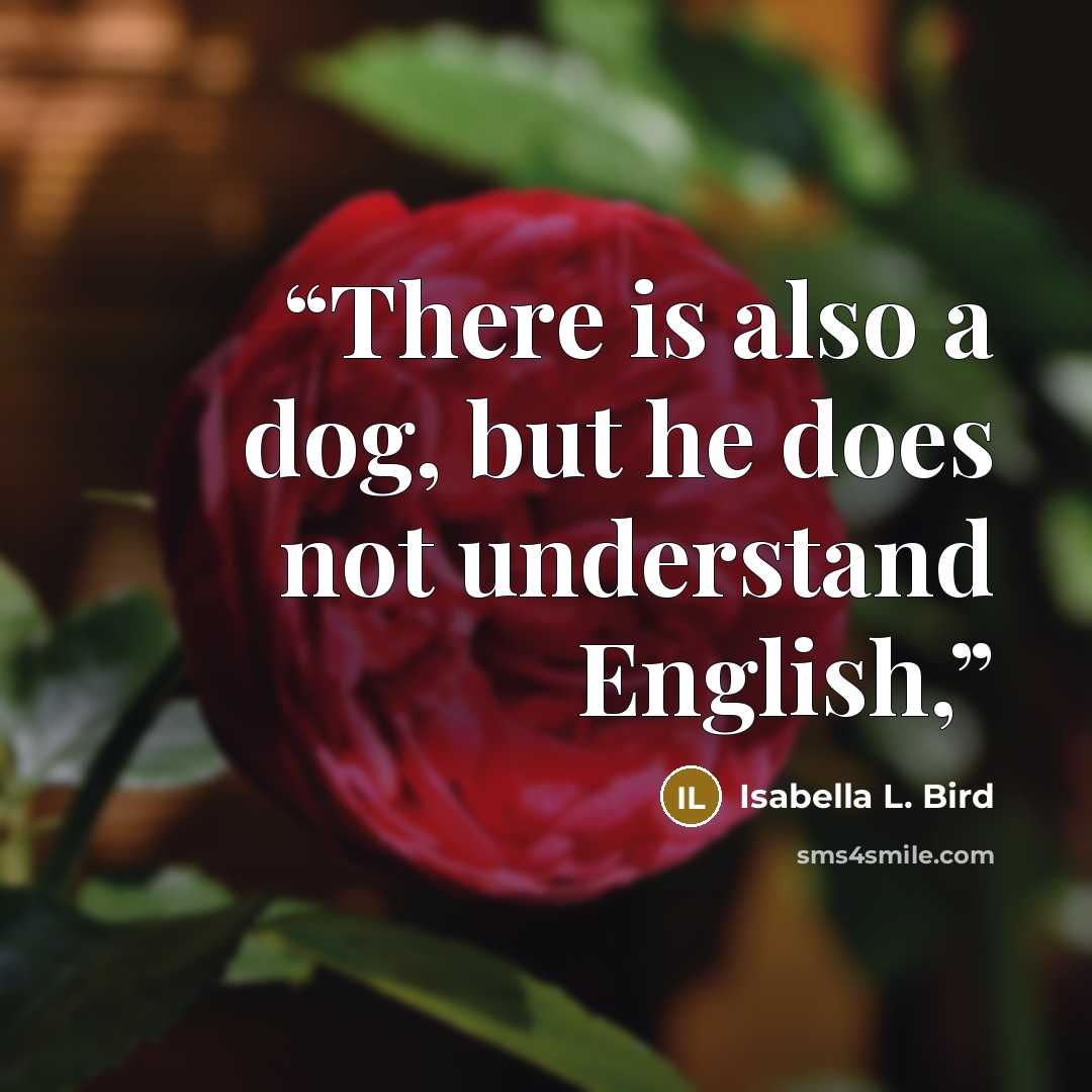 “There is also a dog, but he does not understand English,” quote by Isabella L. Bird