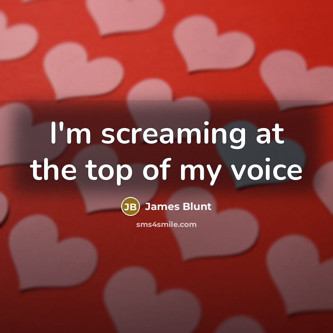 “I'm screaming at the top of my voice…” quote by James Blunt