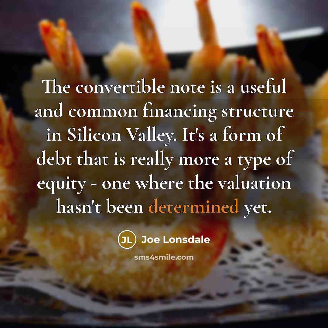 “The convertible note is a useful and common financing structure…” quote by Joe Lonsdale
