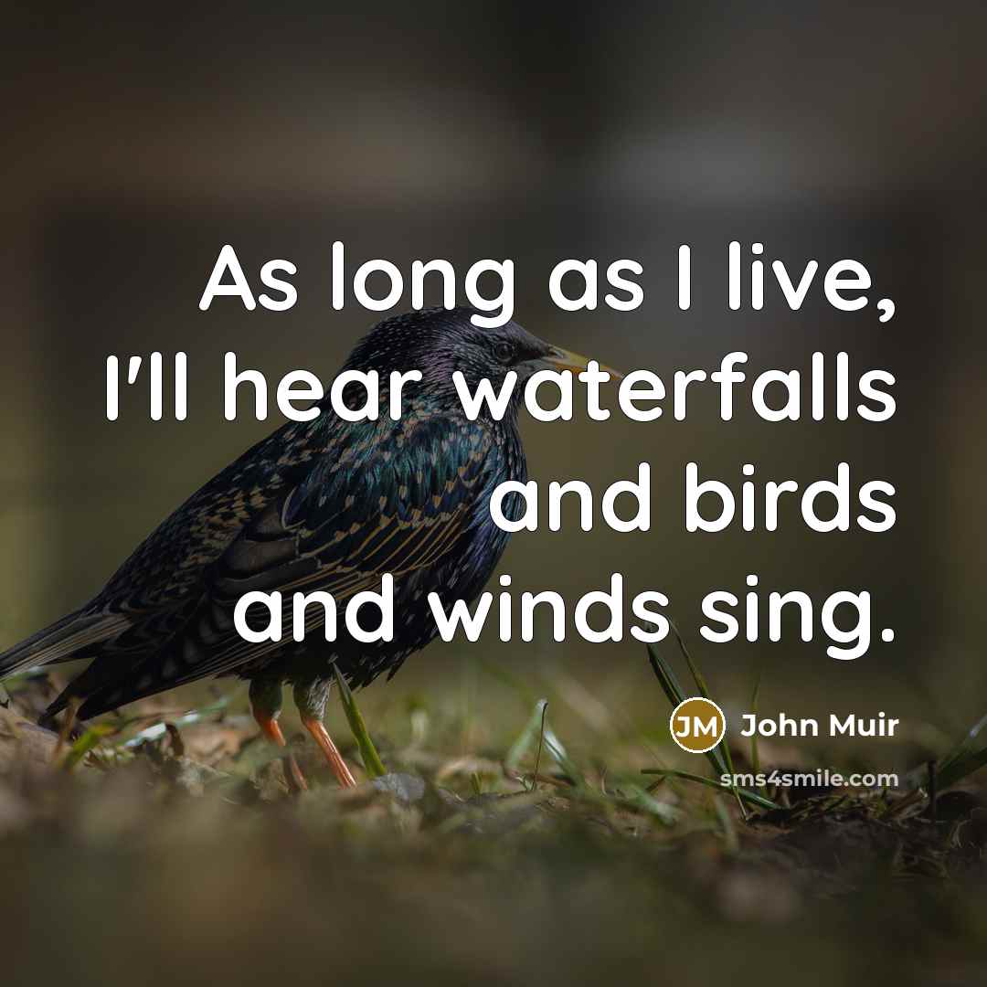 “As long as I live, I'll hear waterfalls and birds…” quote by John Muir