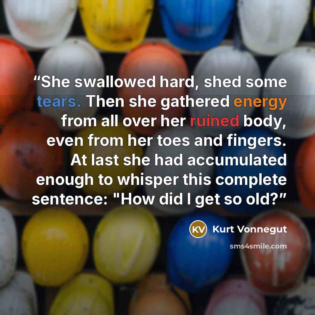 “She swallowed hard, shed some tears. Then she gathered energy from all over her ruined body, even from her toes and fingers. At last she had accumulated enough to whisper this complete sentence: "How did I get so old?” quote by Kurt Vonnegut