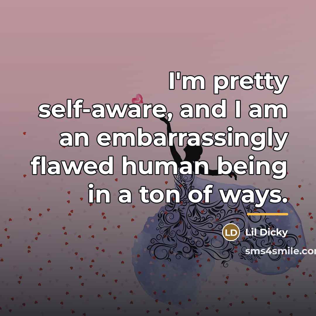 “I'm pretty self-aware, and I am an embarrassingly flawed human…” quote by Lil Dicky