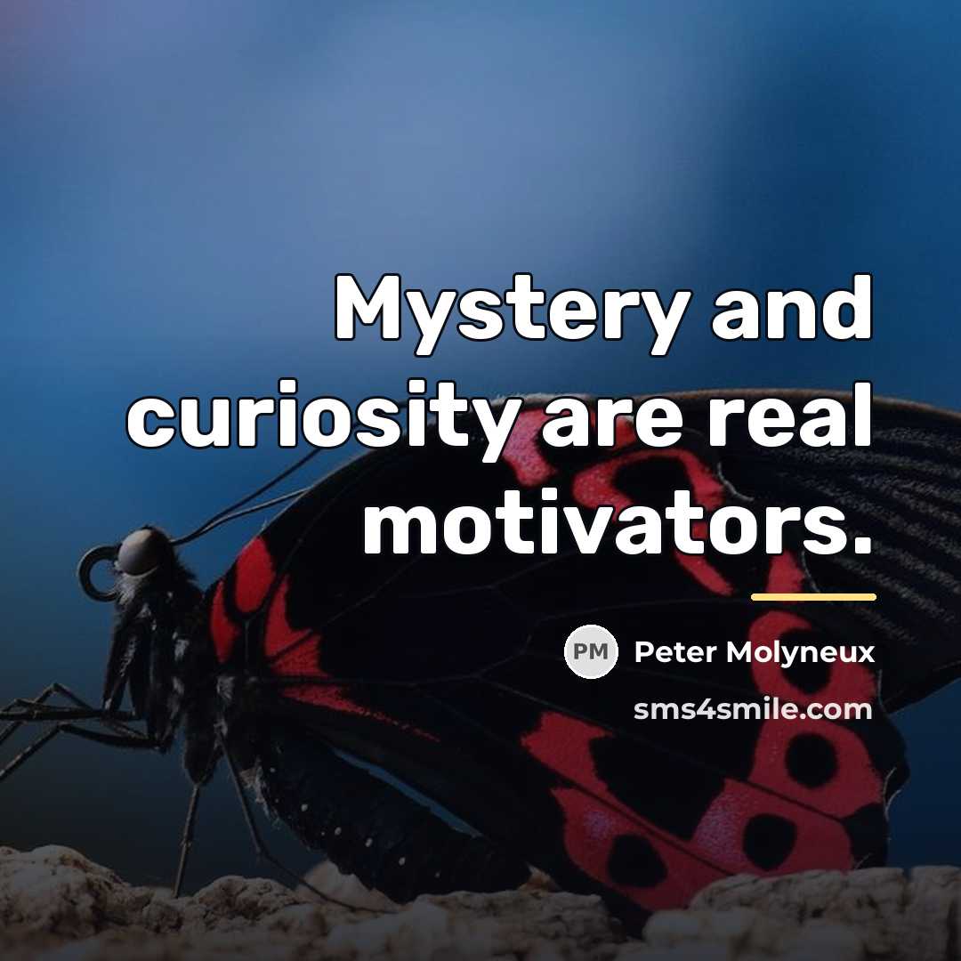 “Mystery and curiosity are real motivators.…” quote by Peter Molyneux