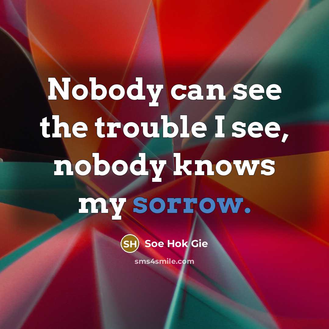 “Nobody can see the trouble I see, nobody knows my…” quote by Soe Hok Gie