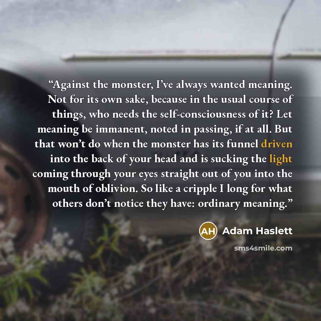 “Against the monster, I’ve always wanted meaning. Not for its own sake, because in the usual course of things, who needs the self-consciousness of it? Let meaning be immanent, noted in passing, if at all. But that won’t do when the monster has its funnel driven into the back of your head and is…” quote by Adam Haslett