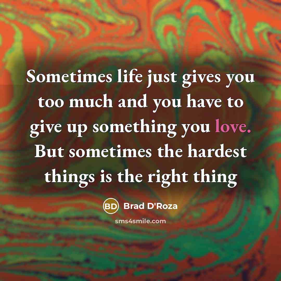 “Sometimes life just gives you too much and you have…” quote by Brad D'Roza