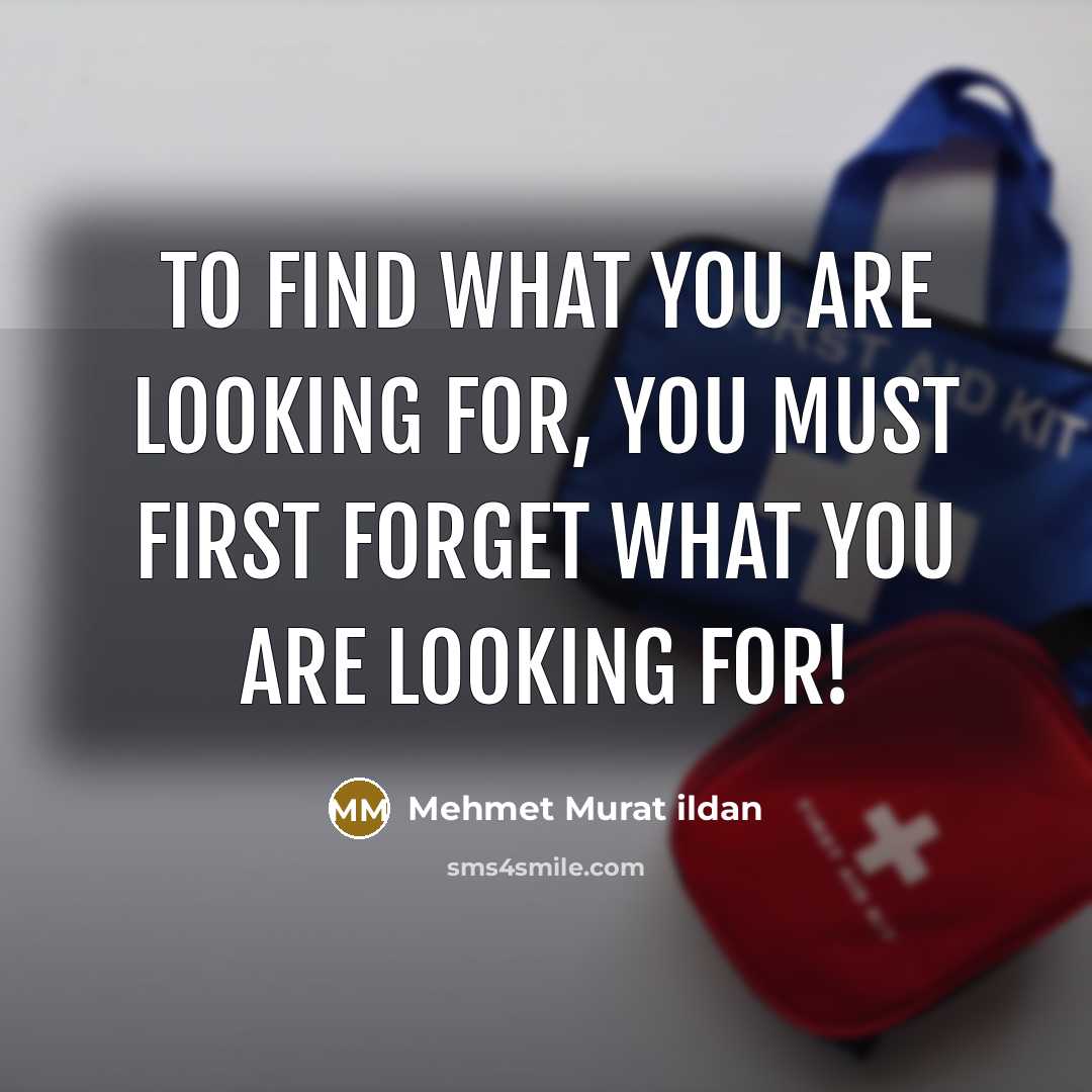 “To find what you are looking for, you must first…” quote by Mehmet Murat Ildan